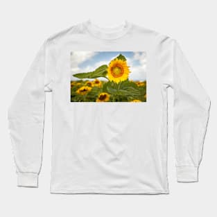 Sunflower and Bees Long Sleeve T-Shirt